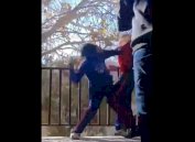 Video: riñen estudiantes dentro de la secundaria 32