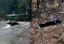 Ejecutan a otro en Guadalupe y Calvo