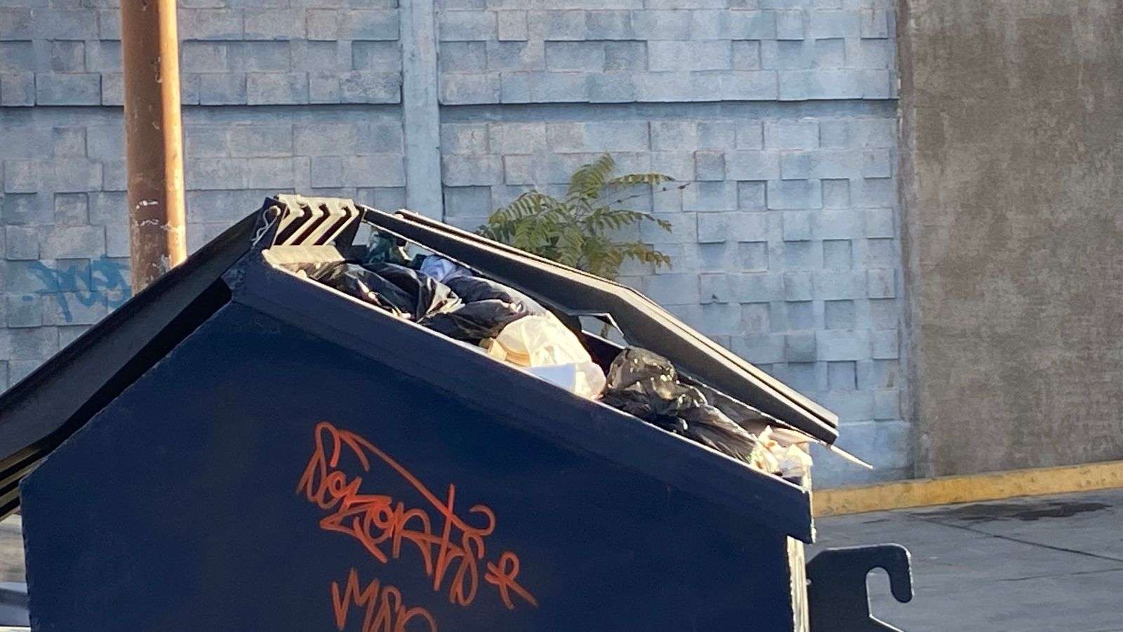 Se desborda la basura en la calle Doblado 