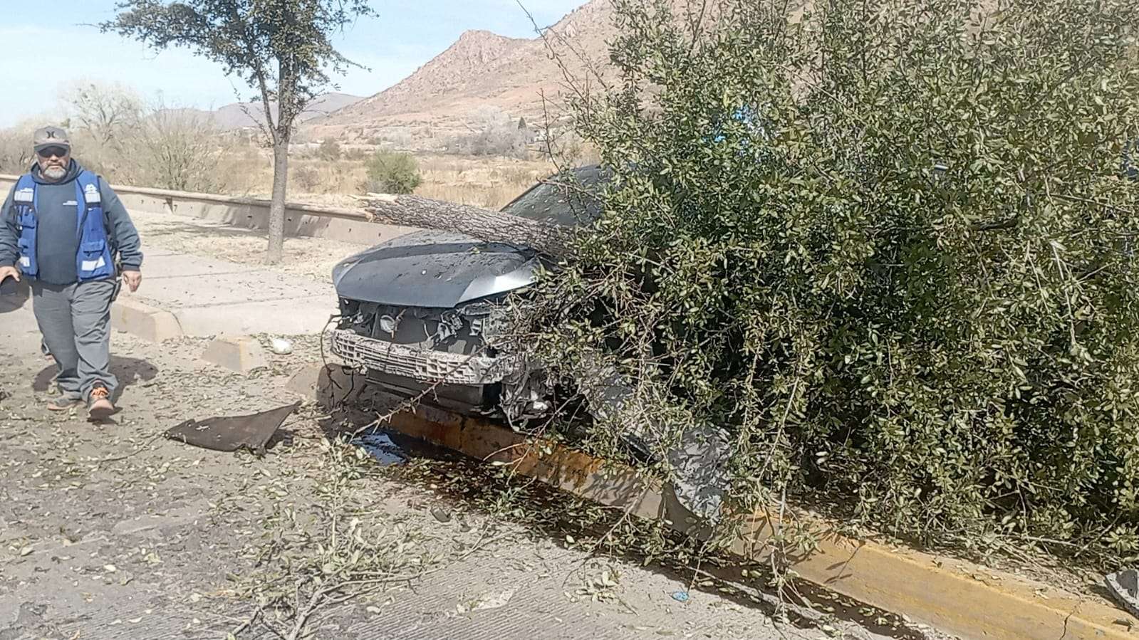 Choca contra muro y árbol en la vialidad Sacramento