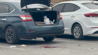 Balean a mujer en estacionamiento de Alsuper Fuentes Mares 