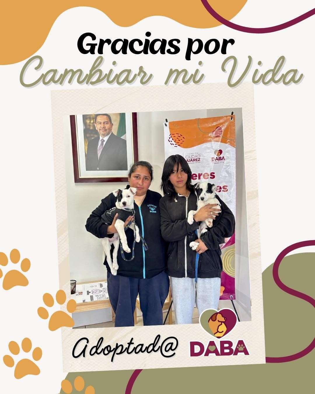 Rompe récord de adopciones el centro de bienestar animal y entrega 21 mascotas en una semana