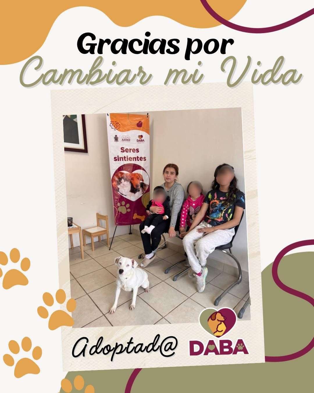 Rompe récord de adopciones el centro de bienestar animal y entrega 21 mascotas en una semana