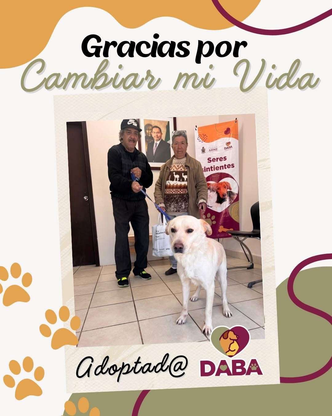Rompe récord de adopciones el centro de bienestar animal y entrega 21 mascotas en una semana