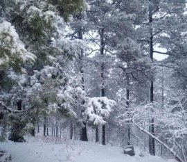 Cae nieve en El Vergel y El Largo Maderal por tercer tormenta invernal