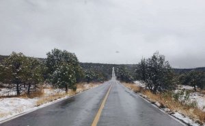 Se congela El Vergel con temperatura de -10 grados centígrados