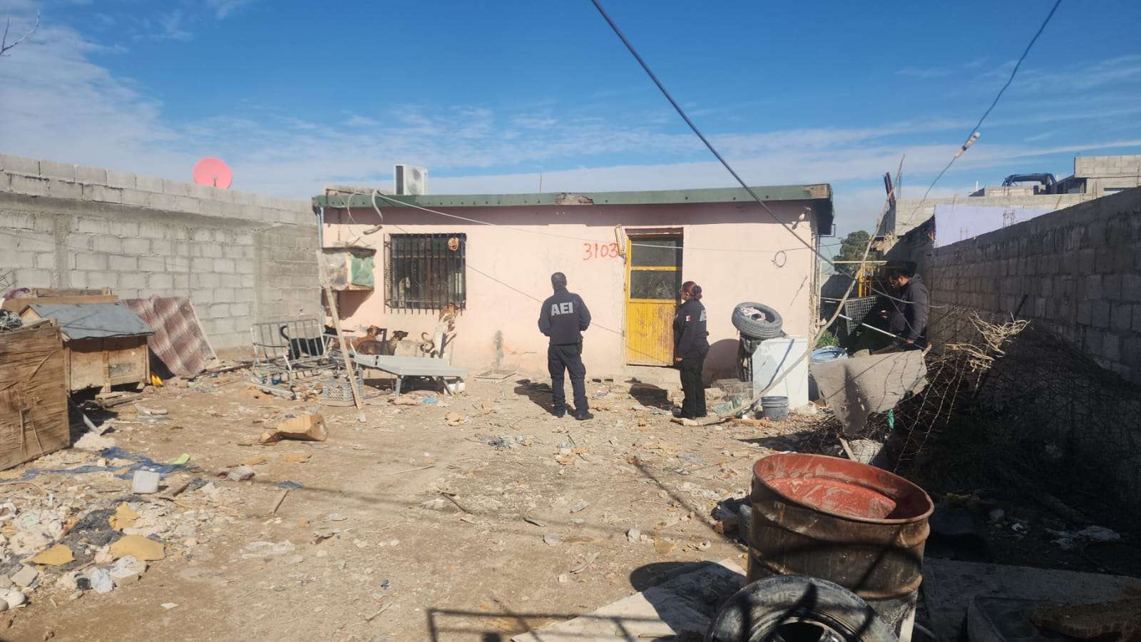 Rescatan en cateo a 39 animalitos maltratados