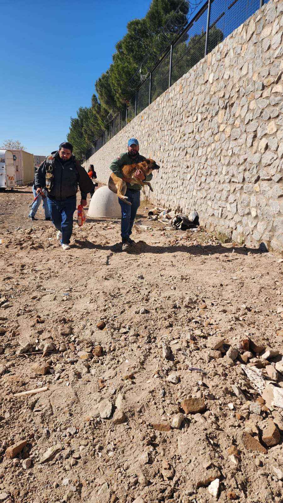 Rescata Daba 43 animales durante la semana 