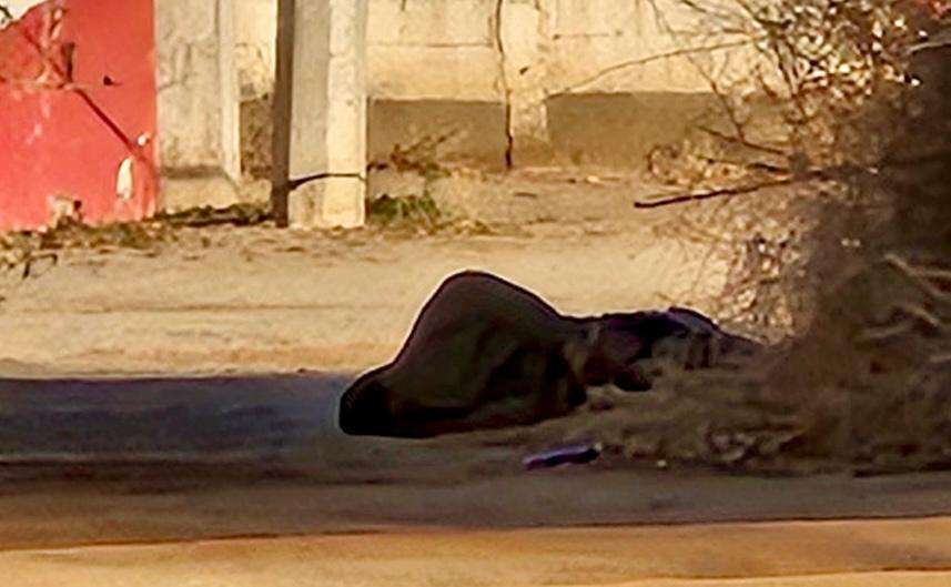 Asesinan a balazos a hombre y dejan su cuerpo en Águilas de Zaragoza 