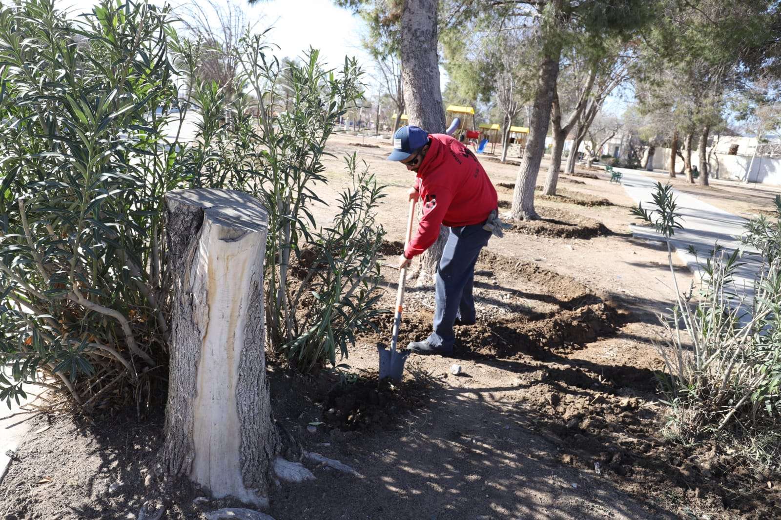 Limpian y reforestan el Parque Borunda