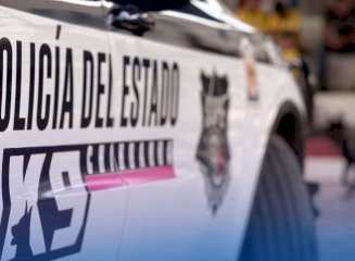 [Polis agresivos]