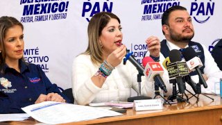 Busca Cruz intimidarme y desviar la atención por nepotismo: Daniela 