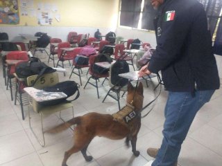 Realiza Goechi jornada preventiva en Secundaria Federal 2 