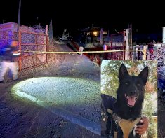 Atacan a machetazos a Vico K-9 de la Dspm; neutralizan a agresor