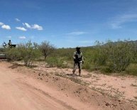 [¿Qué buscarán?]