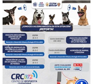 Alertan por jauría de perros en el fraccionamiento Valdivia 2