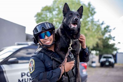 Preparan honores para Vico elemento canino del K-9  