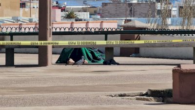 Hallan un muerto en el parque El Palomar