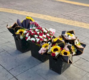 Celebran chihuahuenses el 14 de febrero con regalos y flores