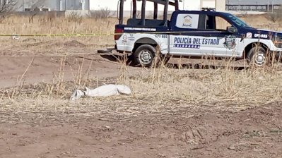 Hallan un encobijado en predio baldío al sur de la ciudad