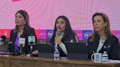 Asegura Diputada que no existe iniciativa formal de reforma electoral 