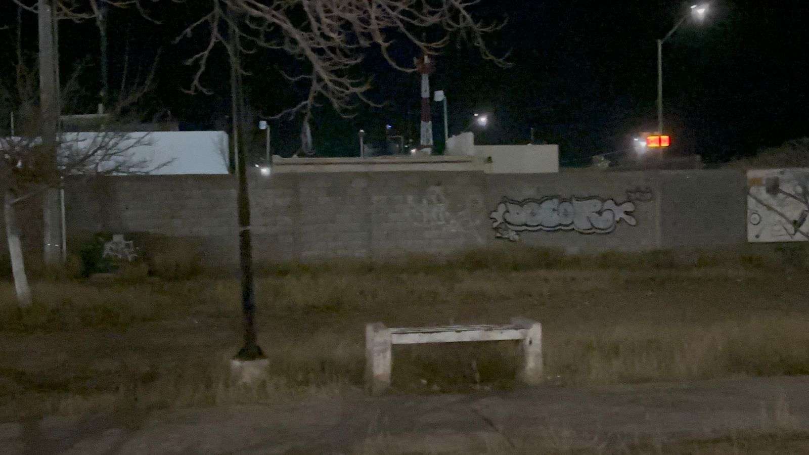 Exigen más vigilancia por alza en robos en fraccionamiento Los Álamos