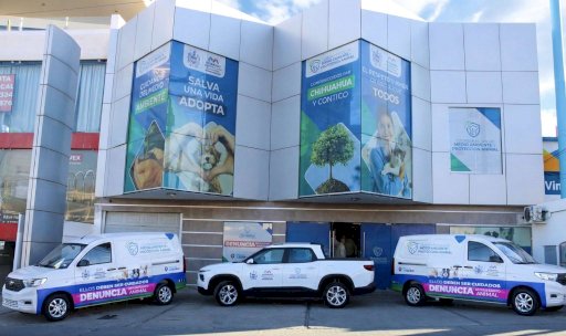 Desmiente Municipio versiones sobre malas condiciones en refugio animal 