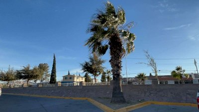 Azotan fuertes vientos la ciudad de Chihuahua 