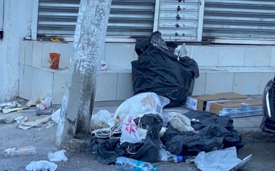Desparraman perros la basura en Quinta y Manuel Doblado