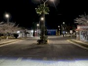 Toma grupo armado fraccionamiento Los Álamos en Aldama