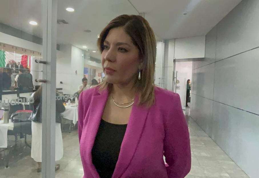 Sin plazo definido para renuncias de aspirantes: Daniela Álvarez