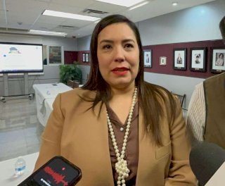 Debe reforma electoral proteger la democracia, no recortar sueldos: Diputada