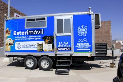 Ofrecerán esterilización gratuita para mascotas en Jardines del Sol
