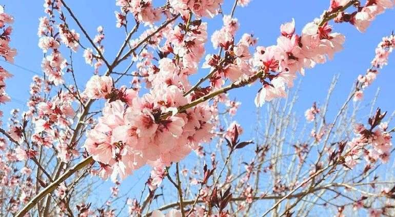 Registran temperaturas hasta 10 grados por encima de lo normal en la región