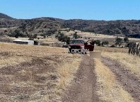 Ejecutan a adulto mayor en San Francisco de Borja
