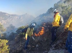 Llaman a reforzar medidas de prevención contra incendios forestales 