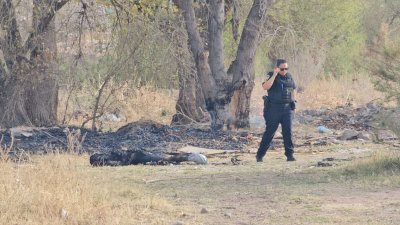 Hallan un calcinado en lote baldío de la colonia Robinson