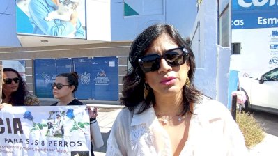 LA ANIMALISTA