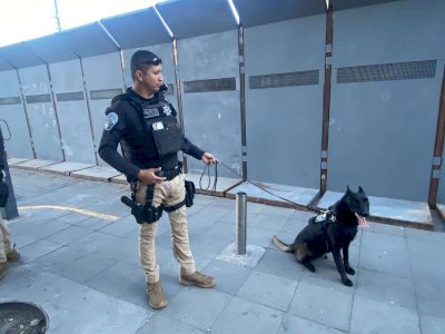 Revisan vallas de Palacio con perros K-9 ante marcha del 8M 