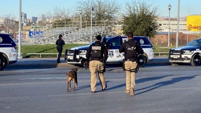 Siguen revisiones con binomios caninos en vallas del Palacio