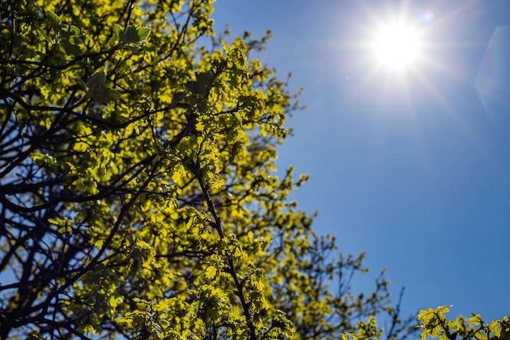 Mañana fría y tarde templada con cielo soleado para hoy domingo