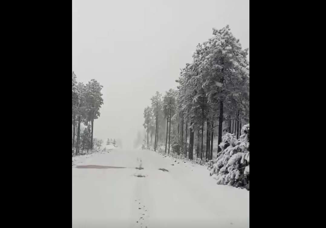 Cubre de blanco intensa nevada al municipio de Madera