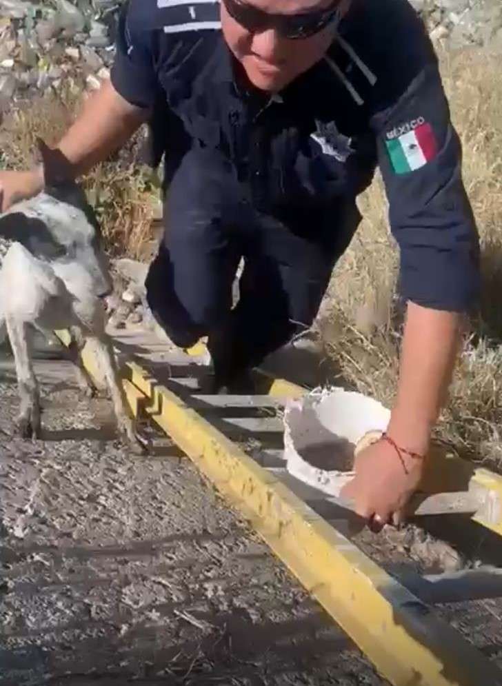 Rescatan a perro atrapado en canal de la colonia Azteca