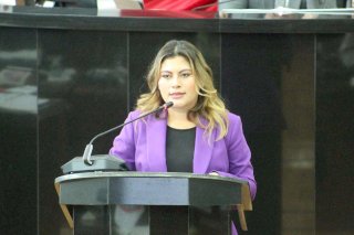 Buscan reformar leyes para garantizar información clara a menores víctimas de violencia