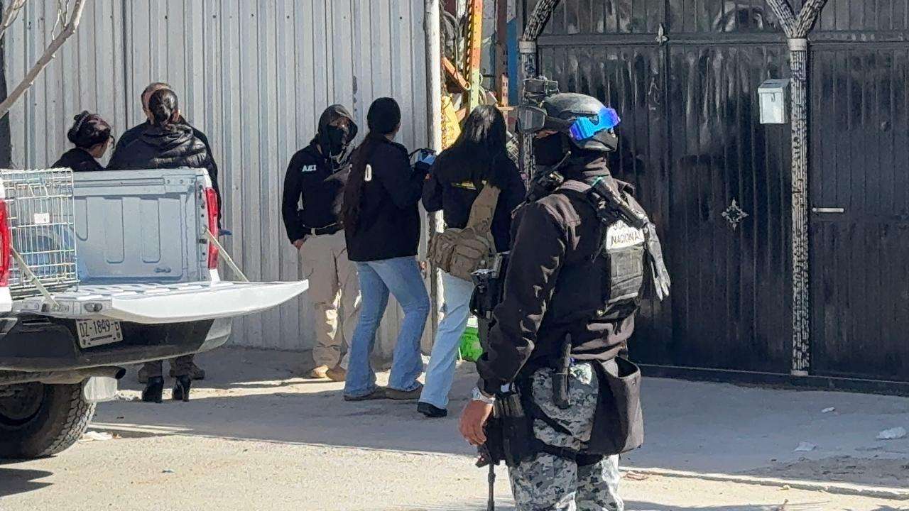Catean vivienda en La Chavela, aseguran perros, gallos y automóviles 