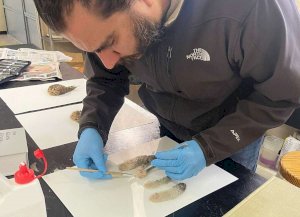 Resguarda Herbario de la Uach más de 4 mil ejemplares de flora