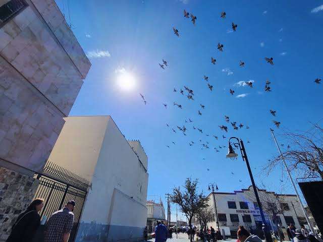 Soleado por la mañana y templado por la tarde: así será el clima de este domingo en Juárez