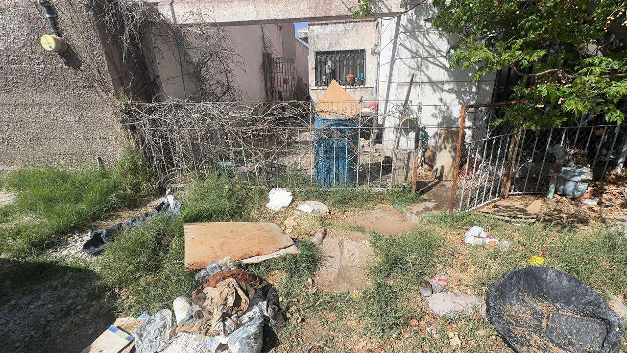 Rescatan a adulta mayor de su vivienda infestada de garrapatas en la Hidalgo
