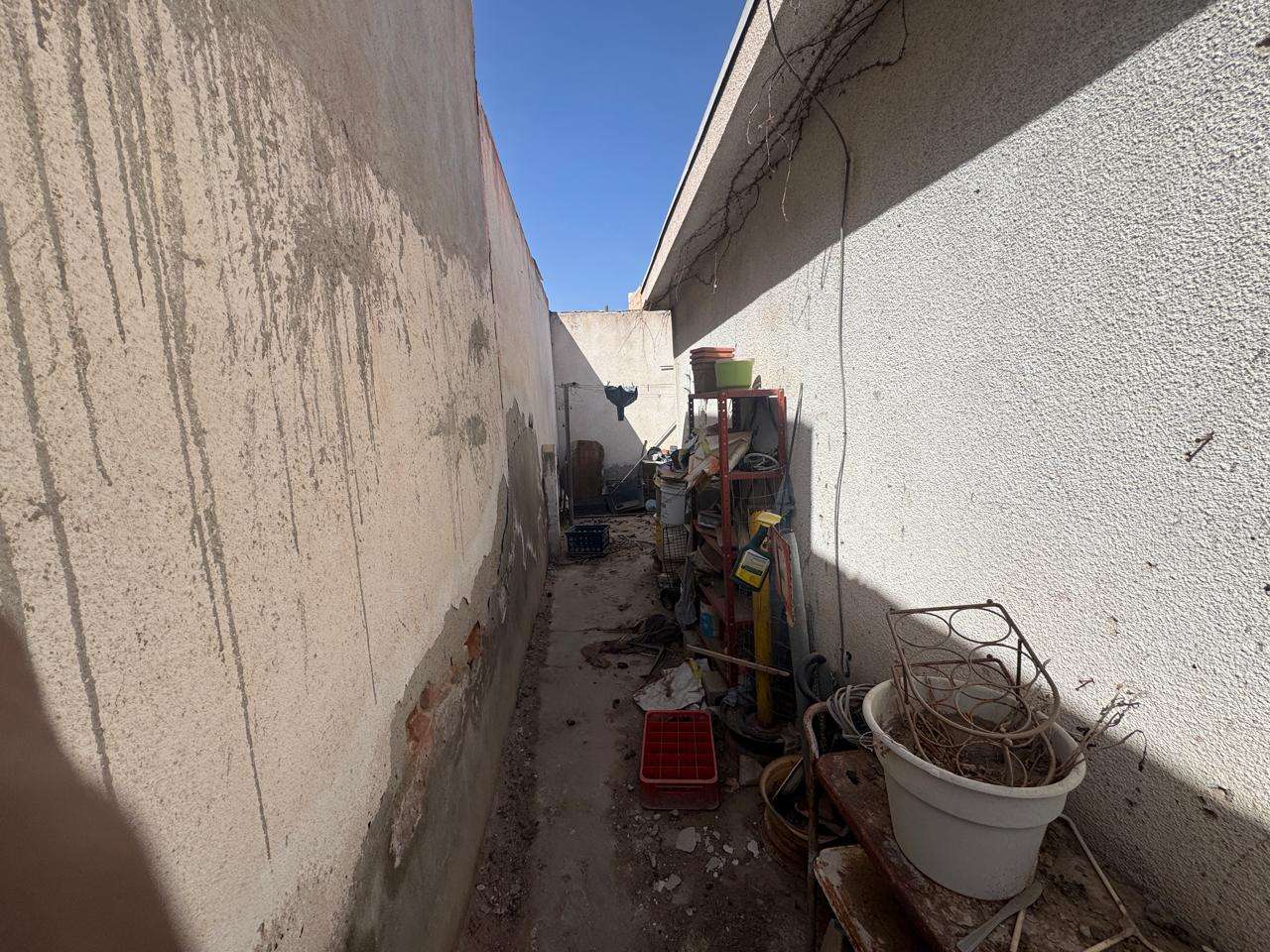 Rescatan a adulta mayor de su vivienda infestada de garrapatas en la Hidalgo