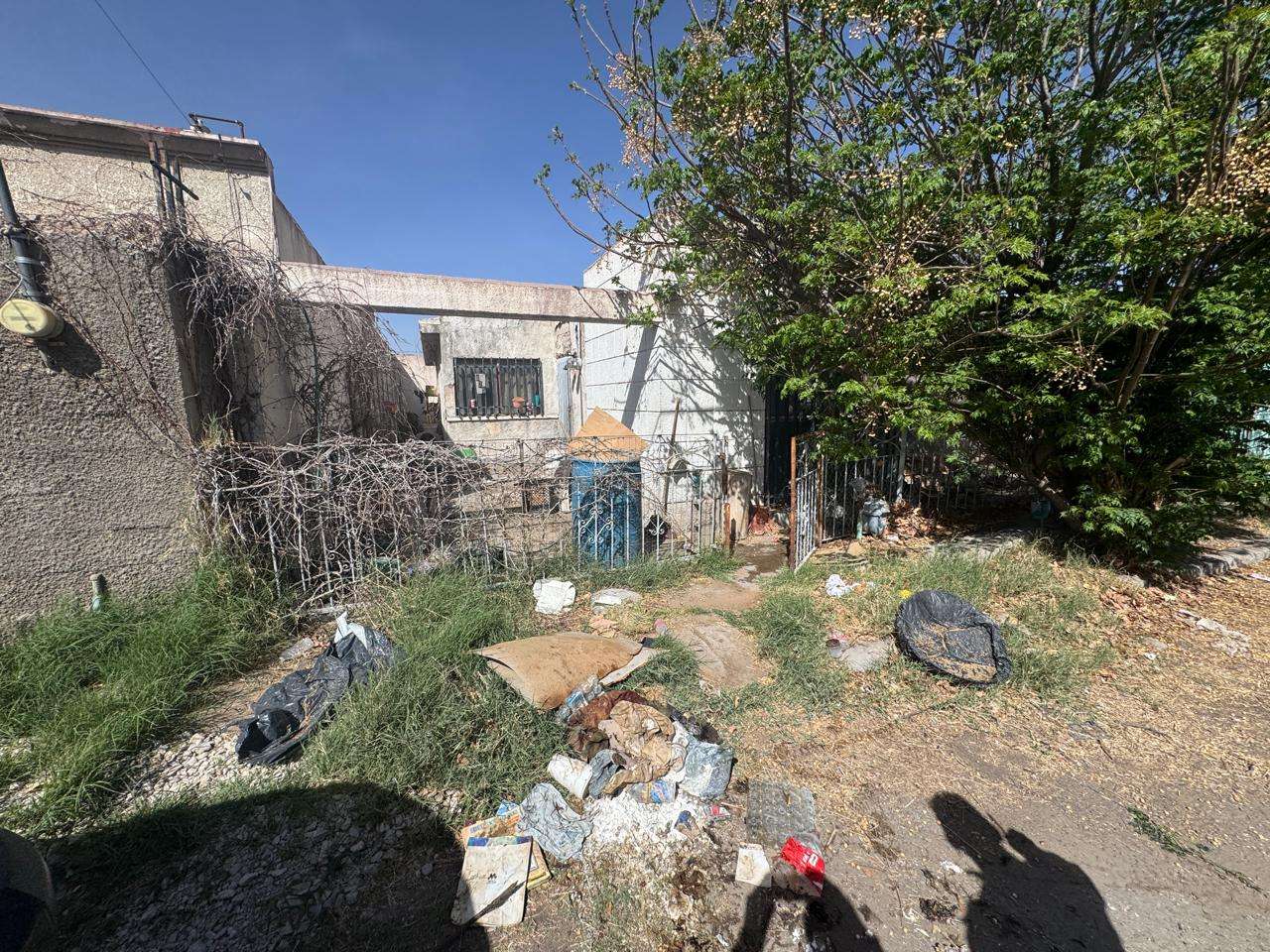 Rescatan a adulta mayor de su vivienda infestada de garrapatas en la Hidalgo